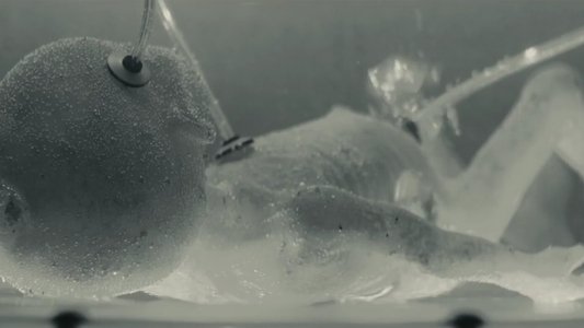 Alpha: Omega