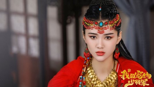 我的宠物少将军