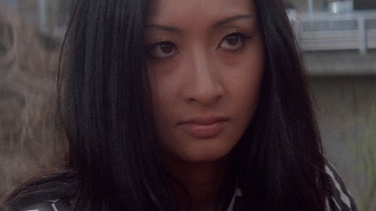 女番長　野良猫ロック