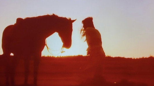 馬と女と犬