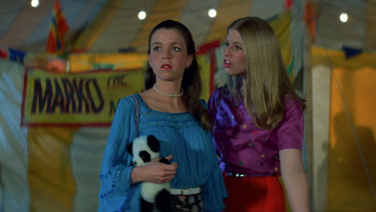 The Funhouse