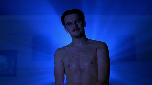 The Aviator
