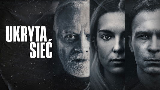 Ukryta sieć