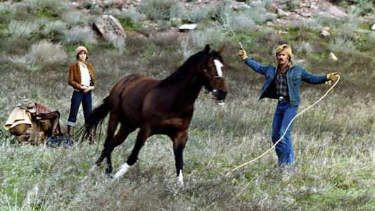The Electric Horseman