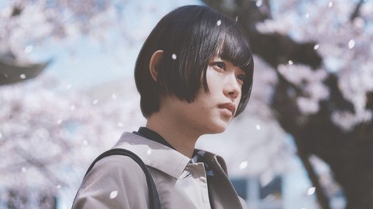朽ちないサクラ