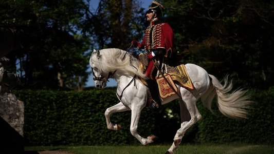 Le retour du héros