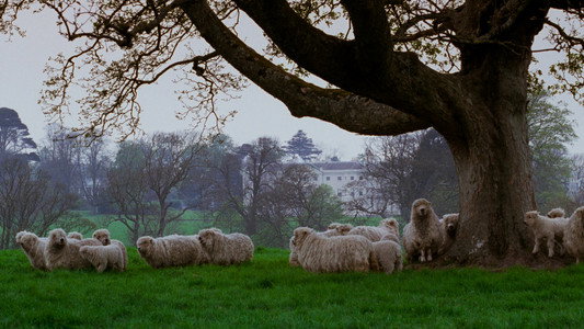 Sense and Sensibility