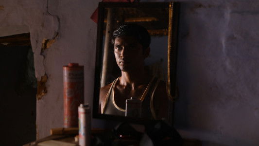 பைசன் காளமாடன்