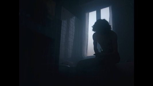 L'uomo che fotografò la donna più bella del mondo