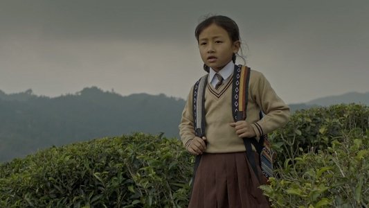 गुराँस