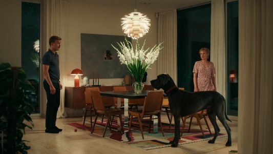 Pfau - Bin ich echt?