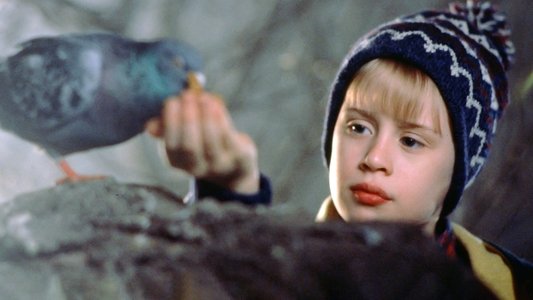 Home Alone 2: Lost in New York