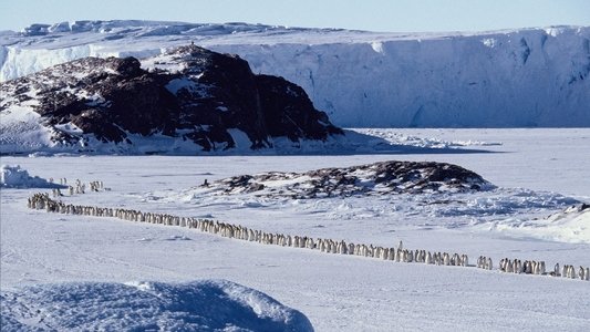 La Marche de l'empereur