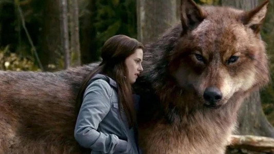 Twilight