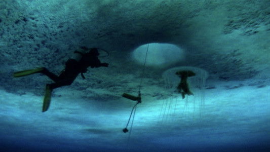 The Wild Blue Yonder