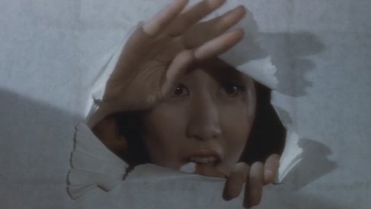 （秘）女郎市場