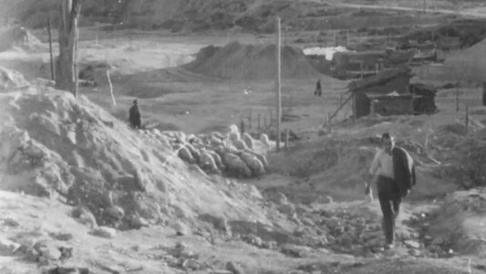 La primera mirada: historia de una escuela de cine