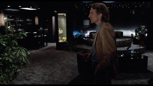 Body Double