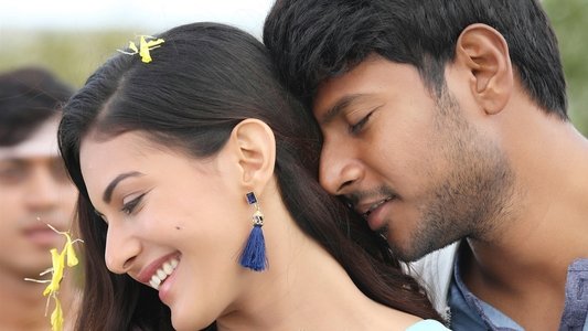 మనసుకు నచ్చింది