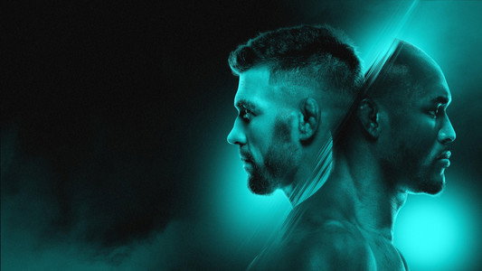 UFC Fight Night 281: du Plessis vs. Usman