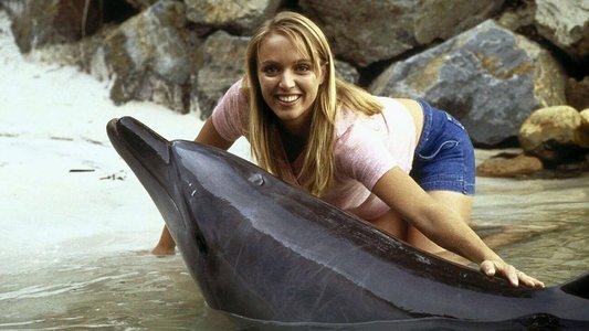 Flipper