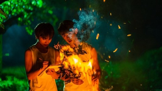 荔枝树下热烈岛