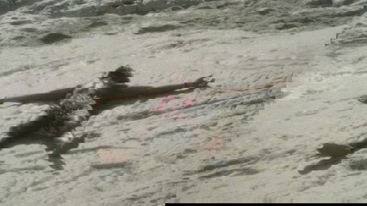 Travolti da un insolito destino nell'azzurro mare d'agosto