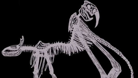 Alternate American Folklore