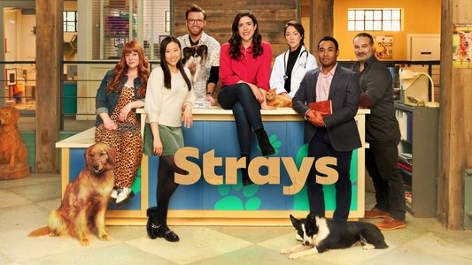 Strays