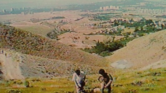 طعم گيلاس