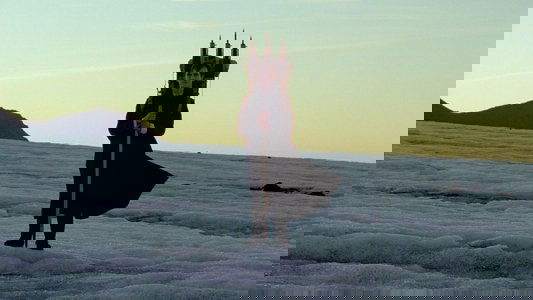 Vanskabte land