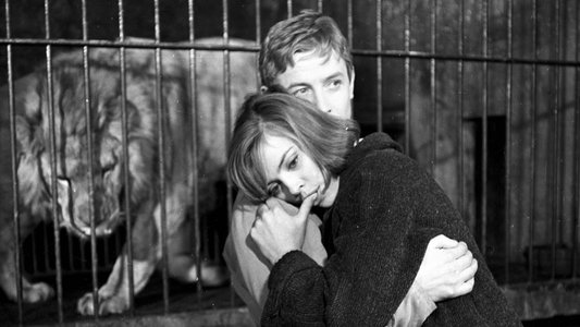L'Amour à vingt ans