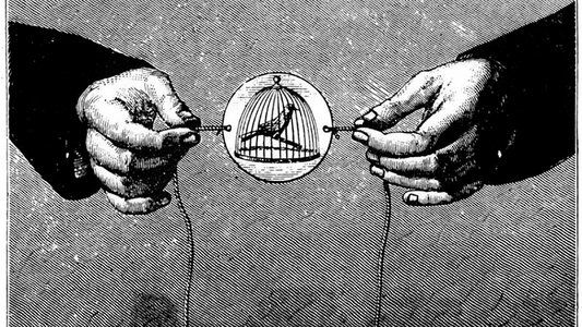 Langue des oiseaux