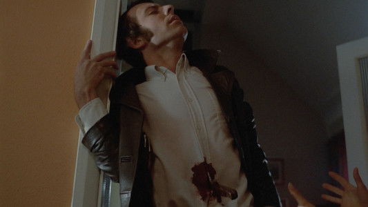 The Flesh and Blood Show