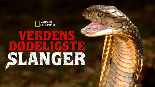 World's Deadliest Snakes