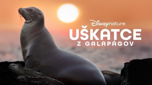 Sea Lions of the Galapagos