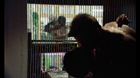 My Beautiful Laundrette