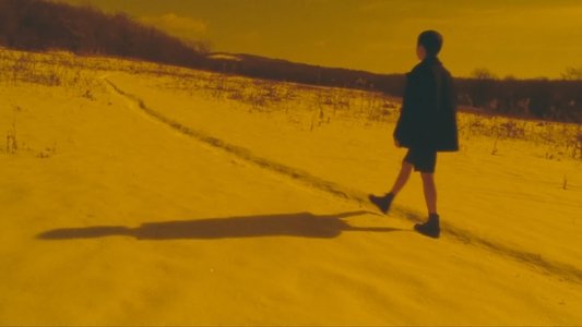 アンモナイトのささやきを聞いた