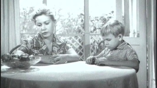 Братья Комаровы