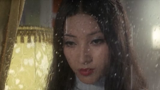 夜の歌謡シリーズ　なみだ恋