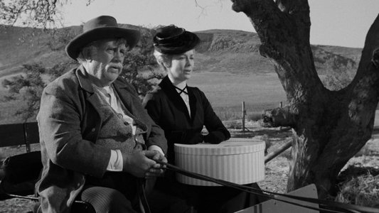 The Man Who Shot Liberty Valance