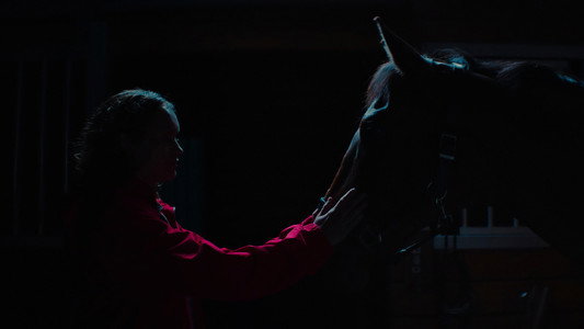 Thoroughbreds