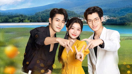 风与星光是归途