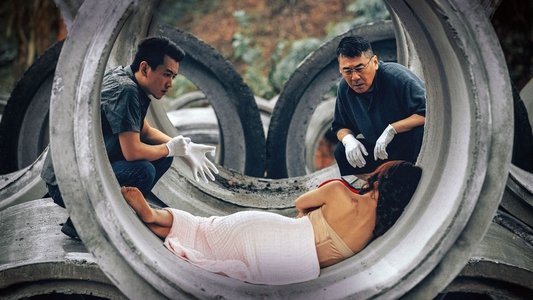 尘封十三载