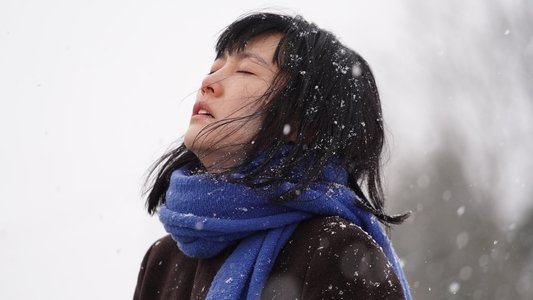658km、陽子の旅