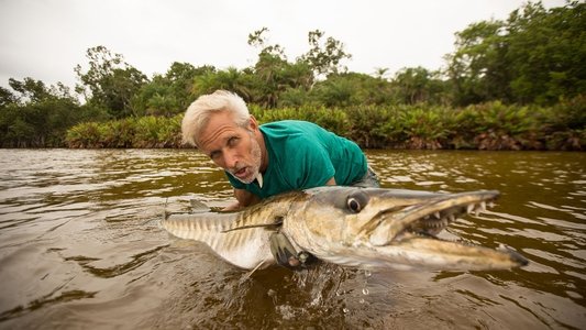 Fishing For Giants