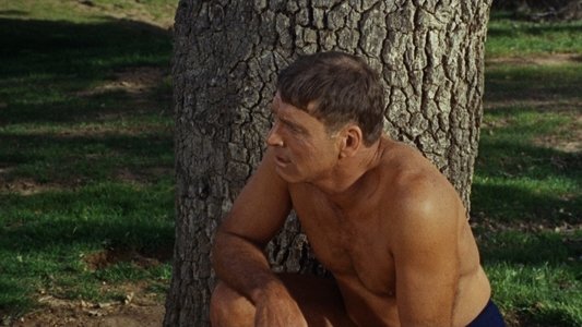 The Swimmer