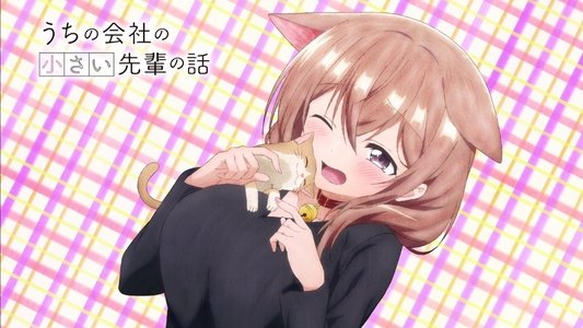 うちの会社の小さい先輩の話