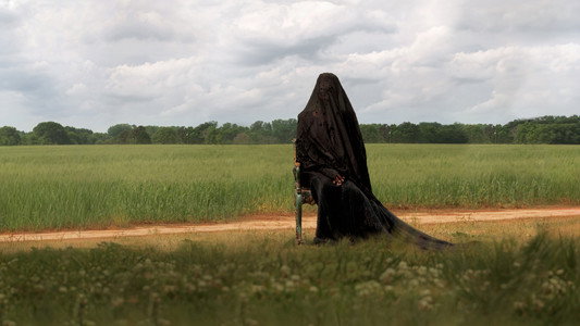 The Woman in the Yard