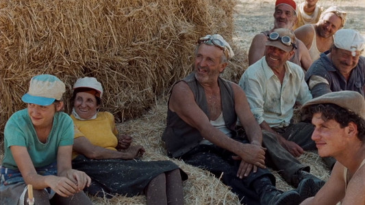 Lazzaro felice